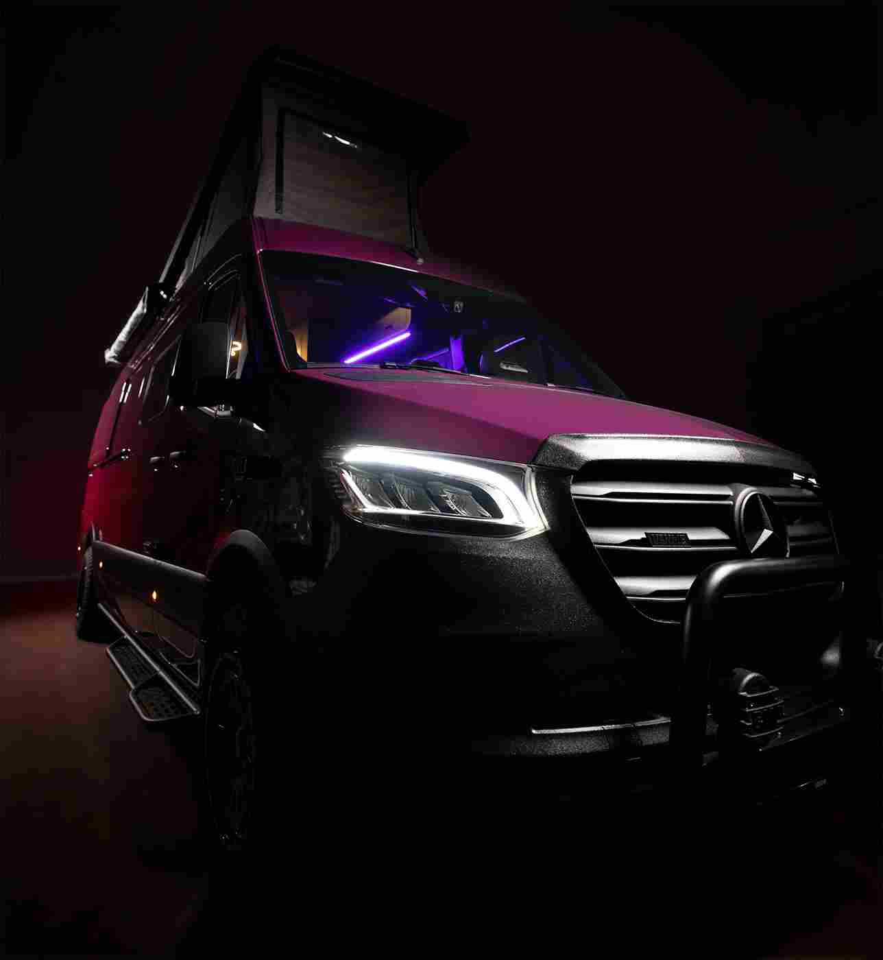 Der Niffler, von vorne seitlich fotografiert