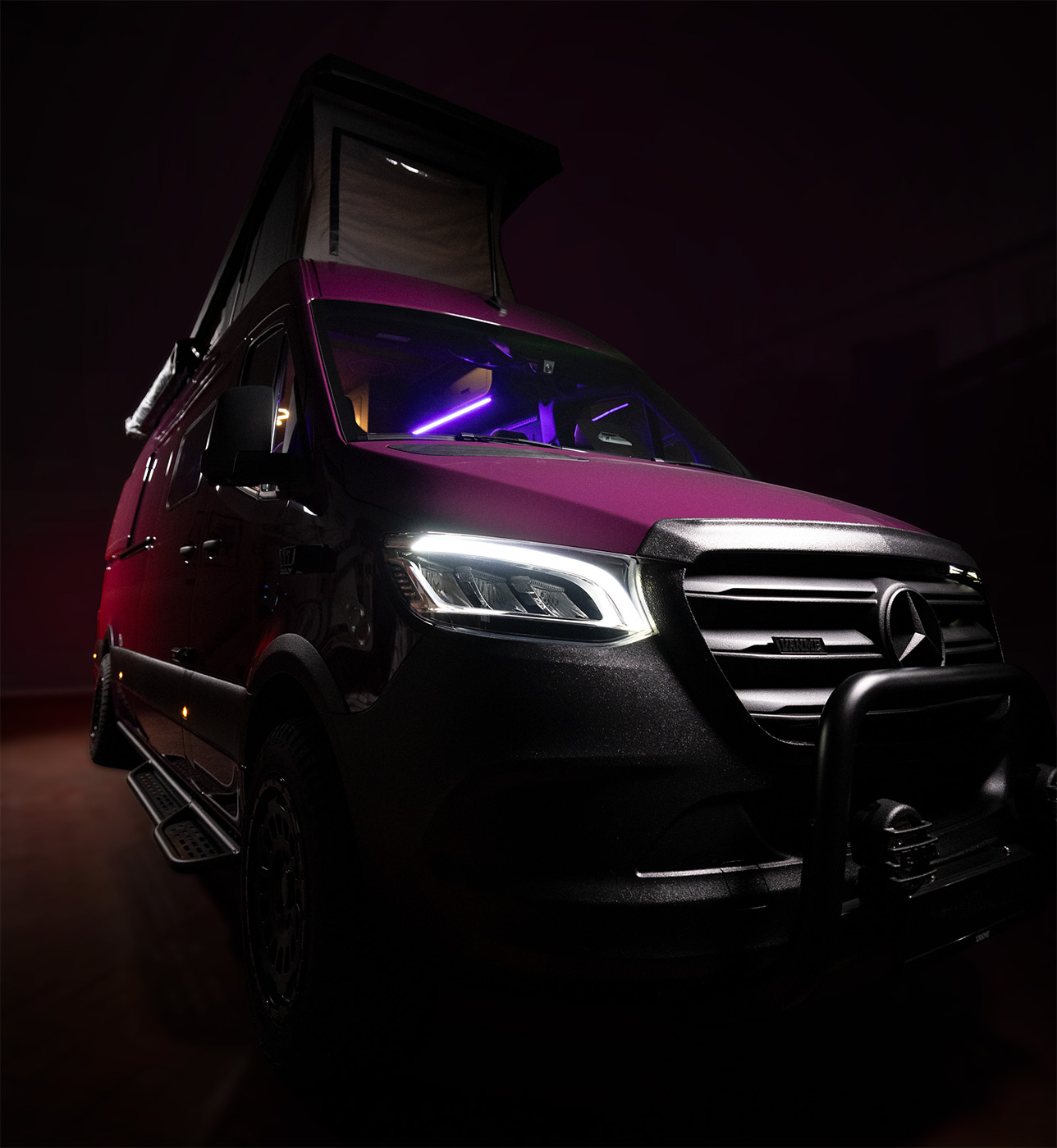 Der Niffler, von vorne seitlich fotografiert